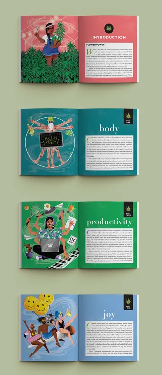 Open pages of a cannabis wellness book with colorful illustrations by Camila Gray