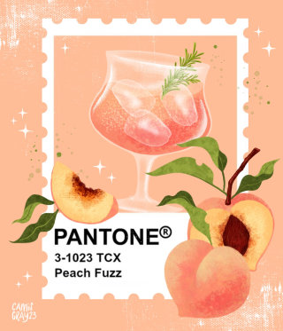 Ilustração arquitetônica da Pantone Peach Fuzz