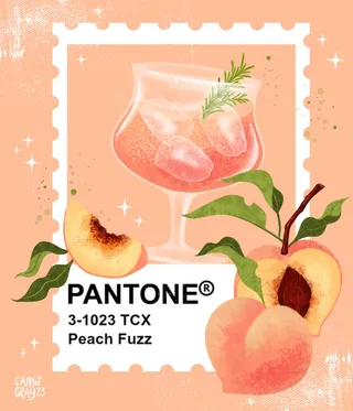 Illustration architecturale de Pantone Peach Fuzz