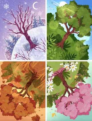Illustration of one tree shown in four seasons: winter, spring, summer, autumn