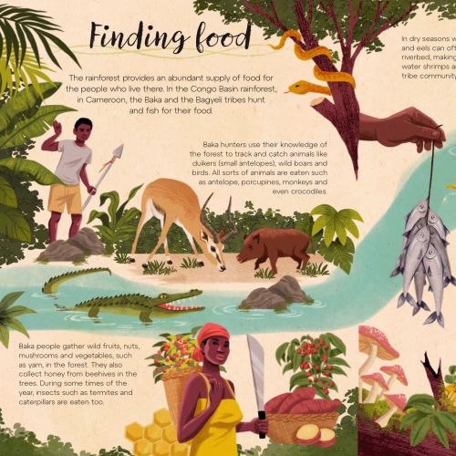 Illustration of people gathering food in a vibrant rainforest scene