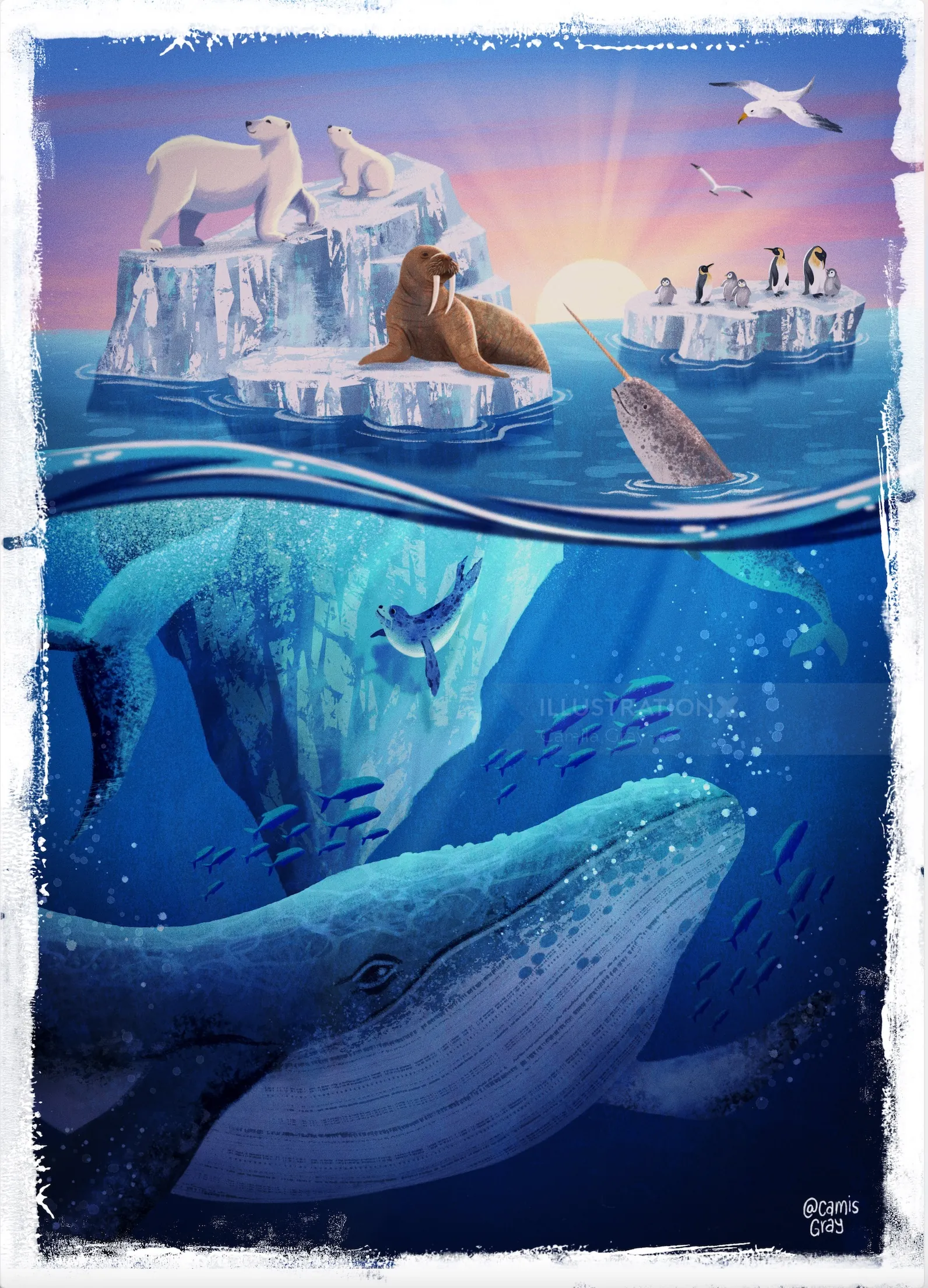 Arctic animals including polar bears, walrus, penguins, and whales near icebergs