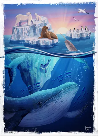 Arctic animals including polar bears, walrus, penguins, and whales near icebergs