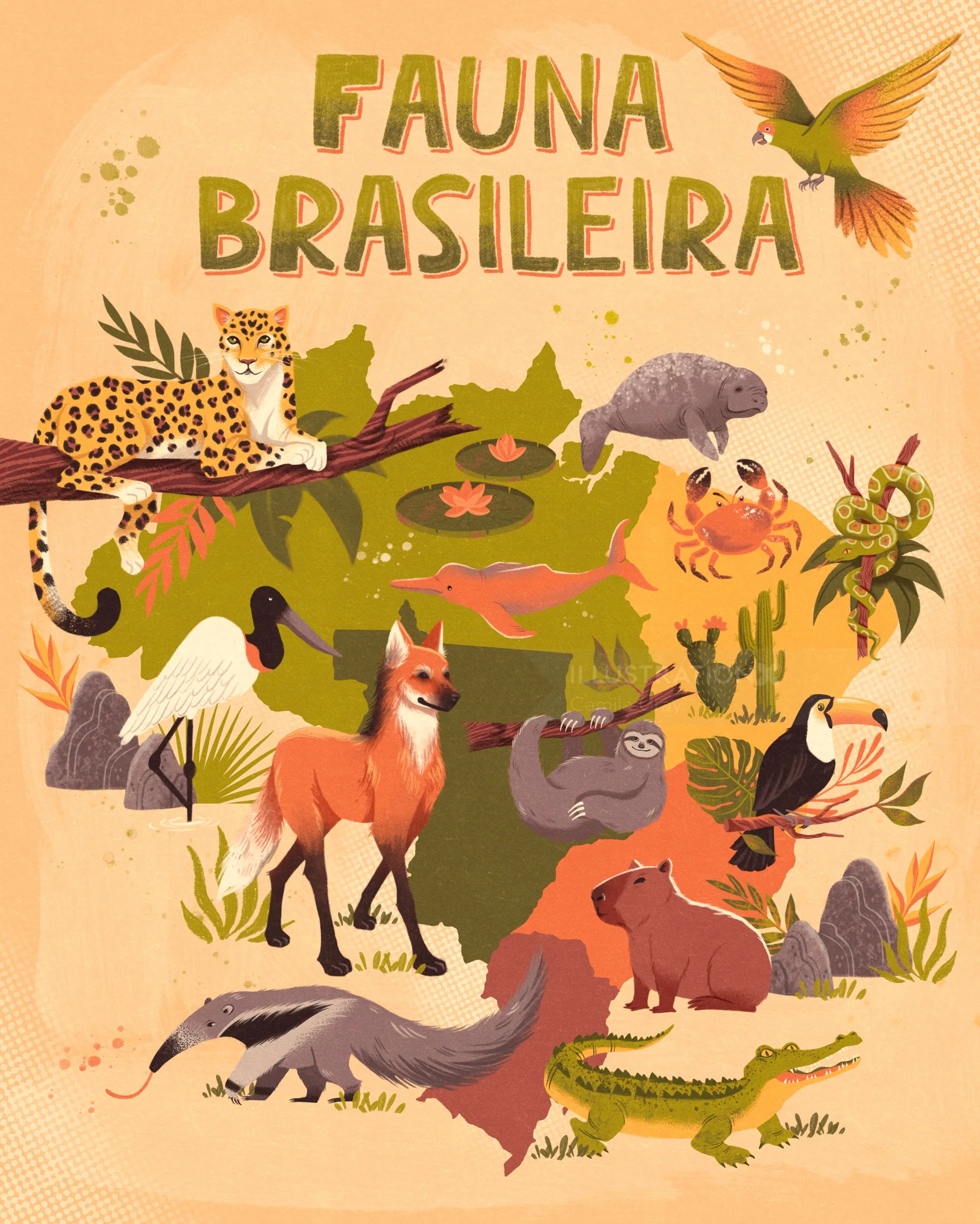 Brazilian wildlife animals surrounding green map, artwork by Camila Gray