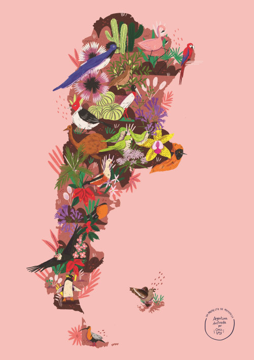 Mapoteca的阿根廷鸟类和植物的地图插图