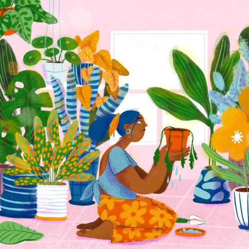 A woman watering various houseplants indoors, illustration by Caribay M. Benavides