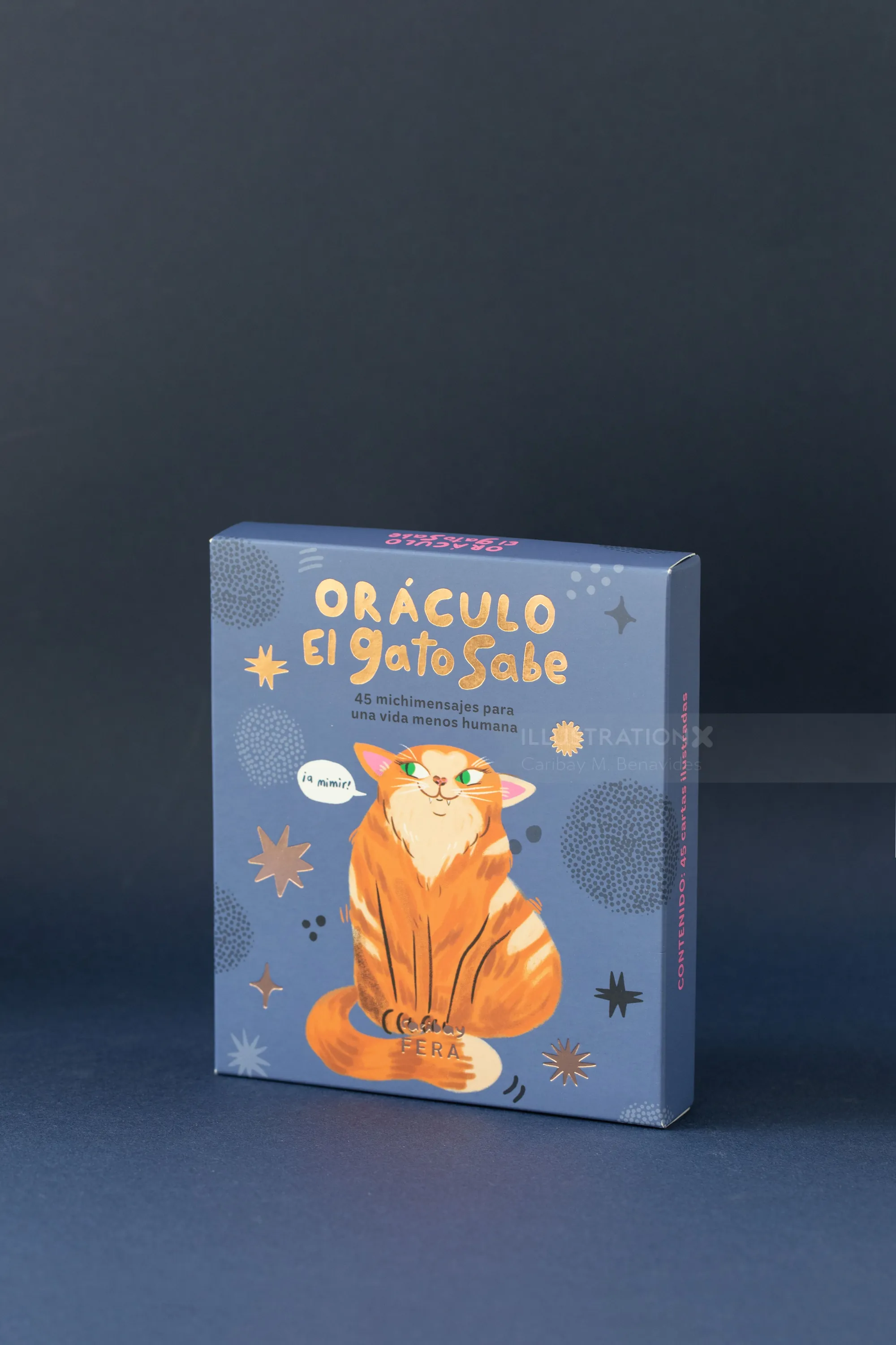 Oracle-Tarotkartenset mit einer weisen orangefarbenen Katze auf dem Cover