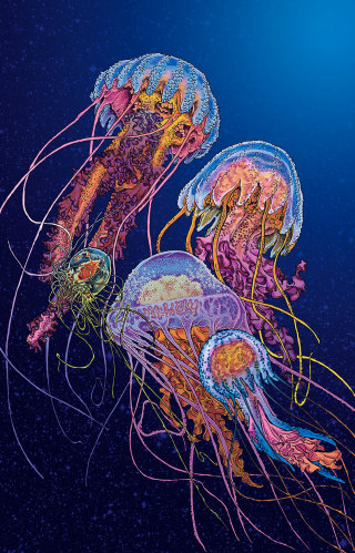 Cartazes de edição limitada de medusas para a Universidade das Ilhas Baleares