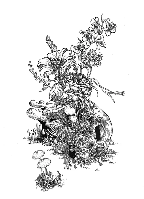 Intricate floral skull drawing by Carles Garcia O'Dowd