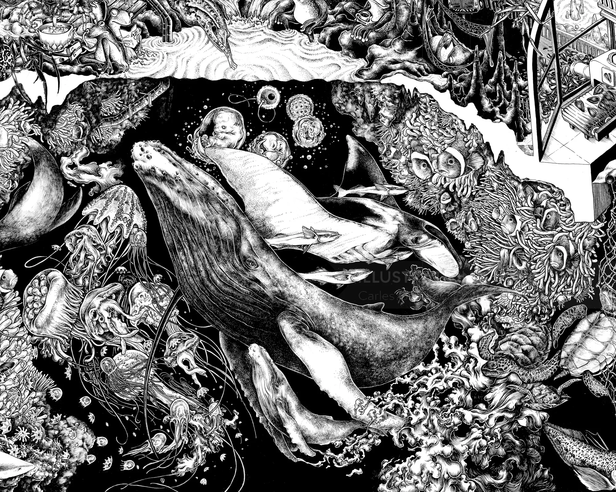 Black and white ocean life illustration with whales by Carles Garcia O'Dowd