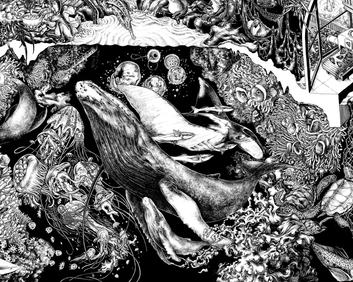 Black and white ocean life illustration with whales by Carles Garcia O'Dowd