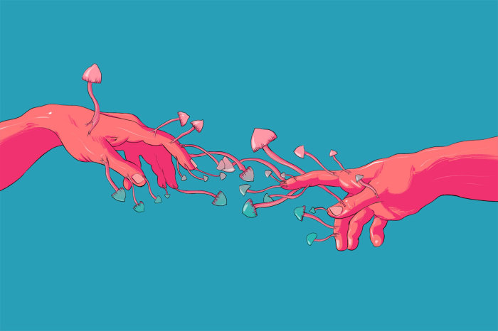 Ilustração visual de Reclaiming Ancient Psychedelics for Rolling Stone Magazine
