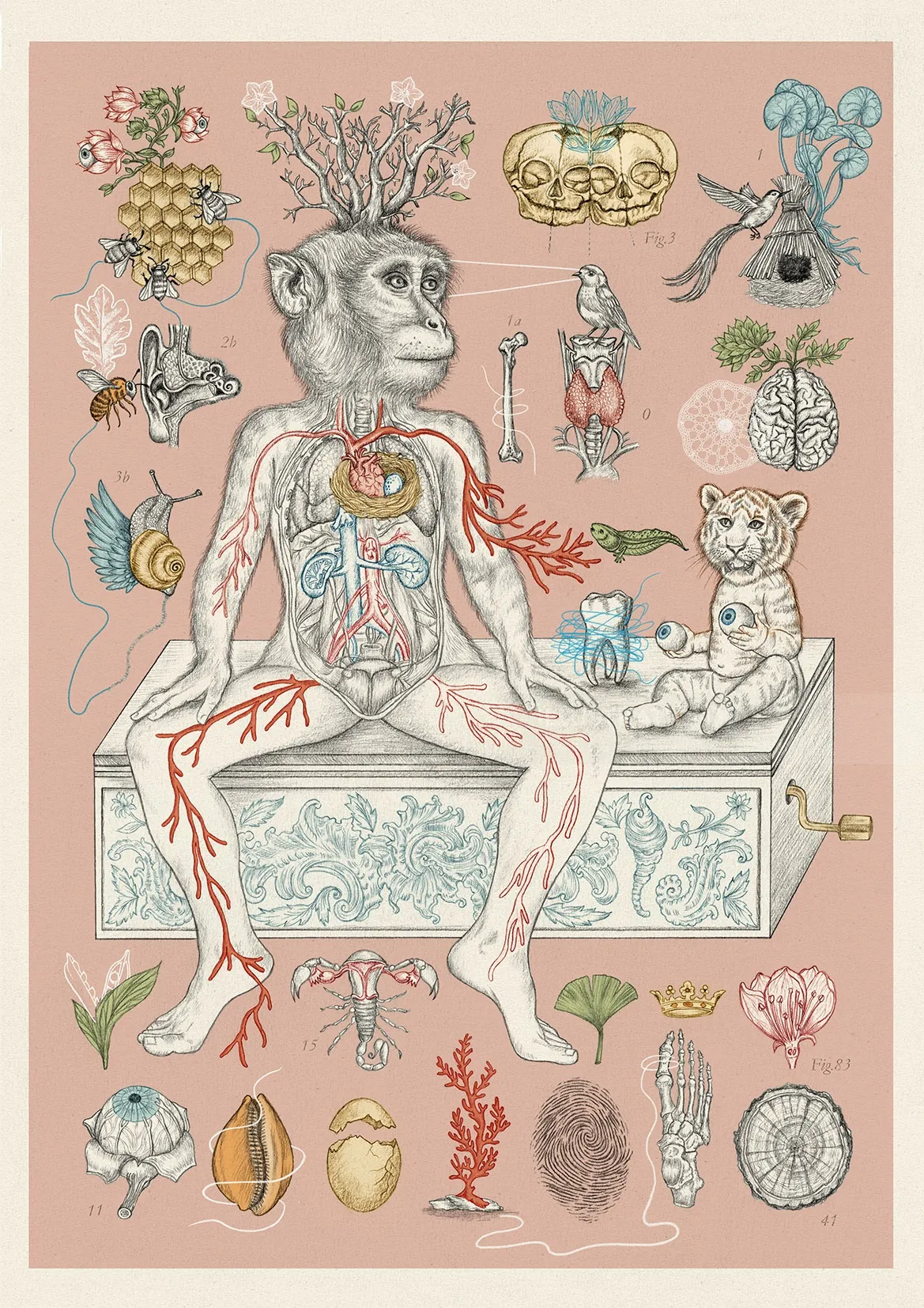 Illustration for the article 'Myths and Truths of Astral Compatibility'