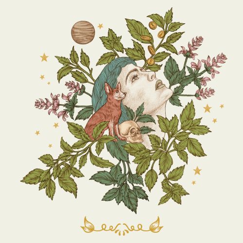 Carolina Zambrano Botanical Illustrator from Argentina