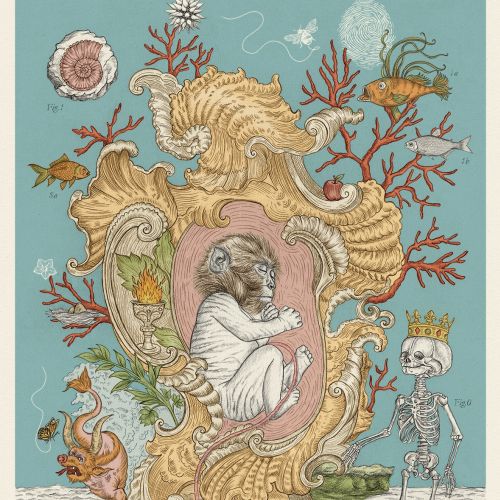 Surreal image of a human figure curled inside a seashell with coral and a crowned skeleton.