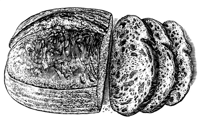 Ilustração de pão por Caroline Church
