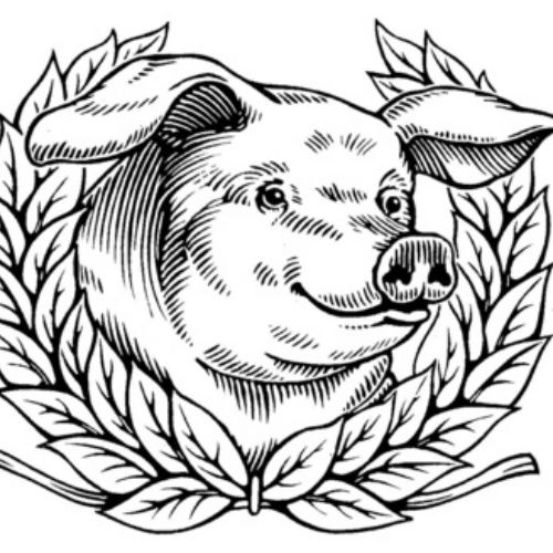 Pig in the style of an engraving