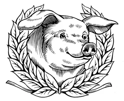 Pig in the style of an engraving