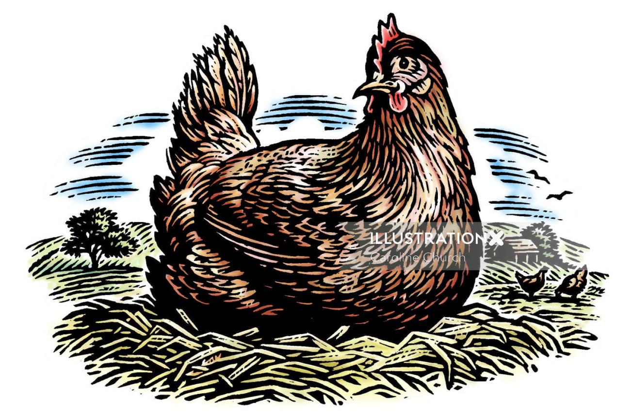 chicken line illustration 