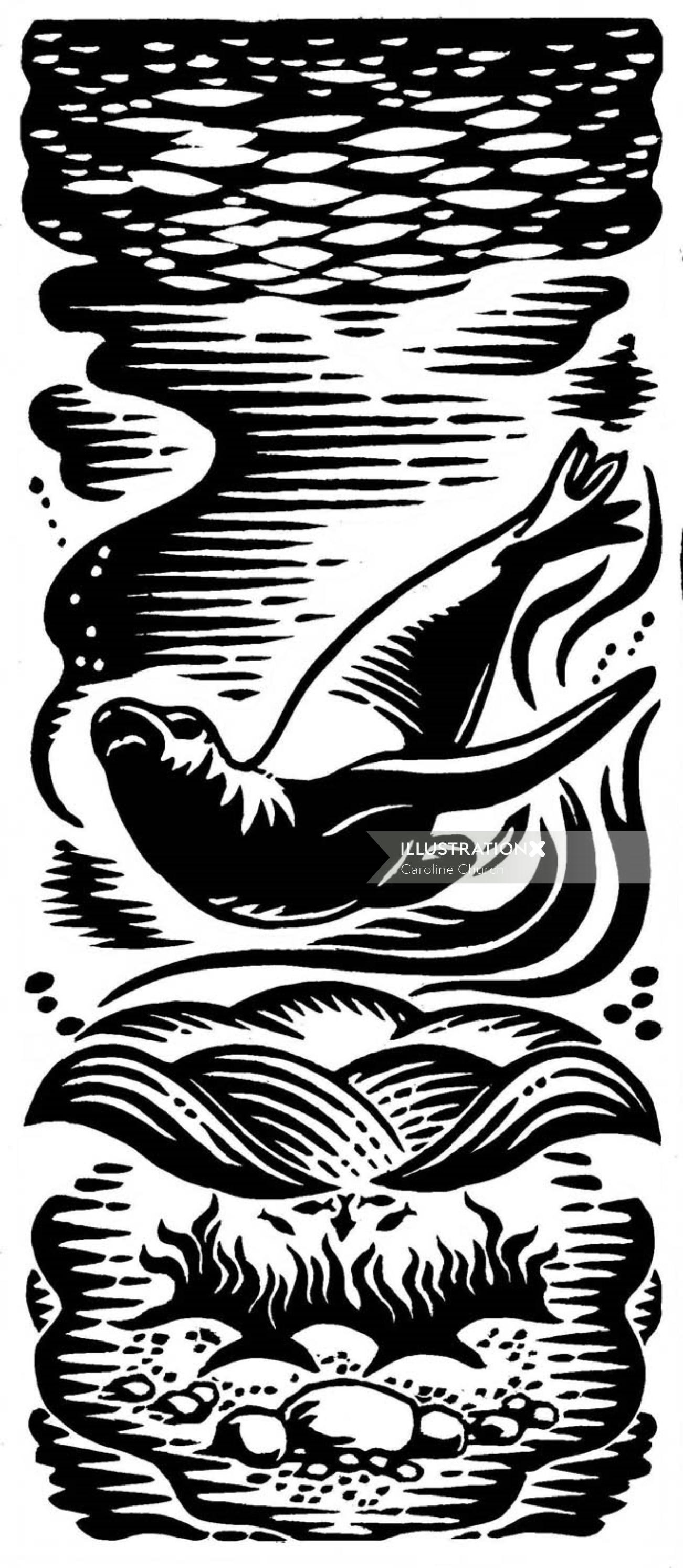 Seal under water black and white illustration