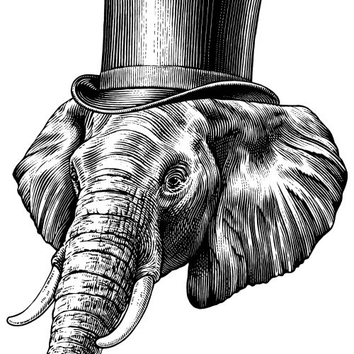 Elephant black and white illustration 
