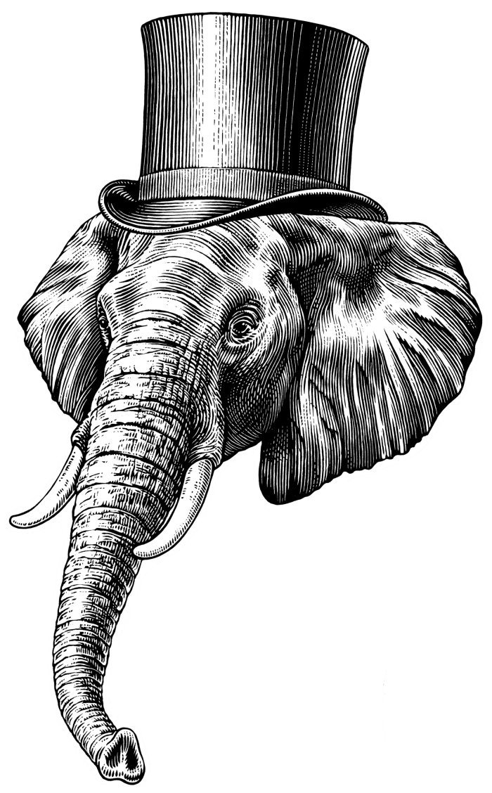 Ilustração a preto e branco de elefante