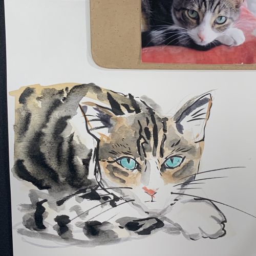 Watercolor painting of a tabby cat with blue eyes beside a photo
