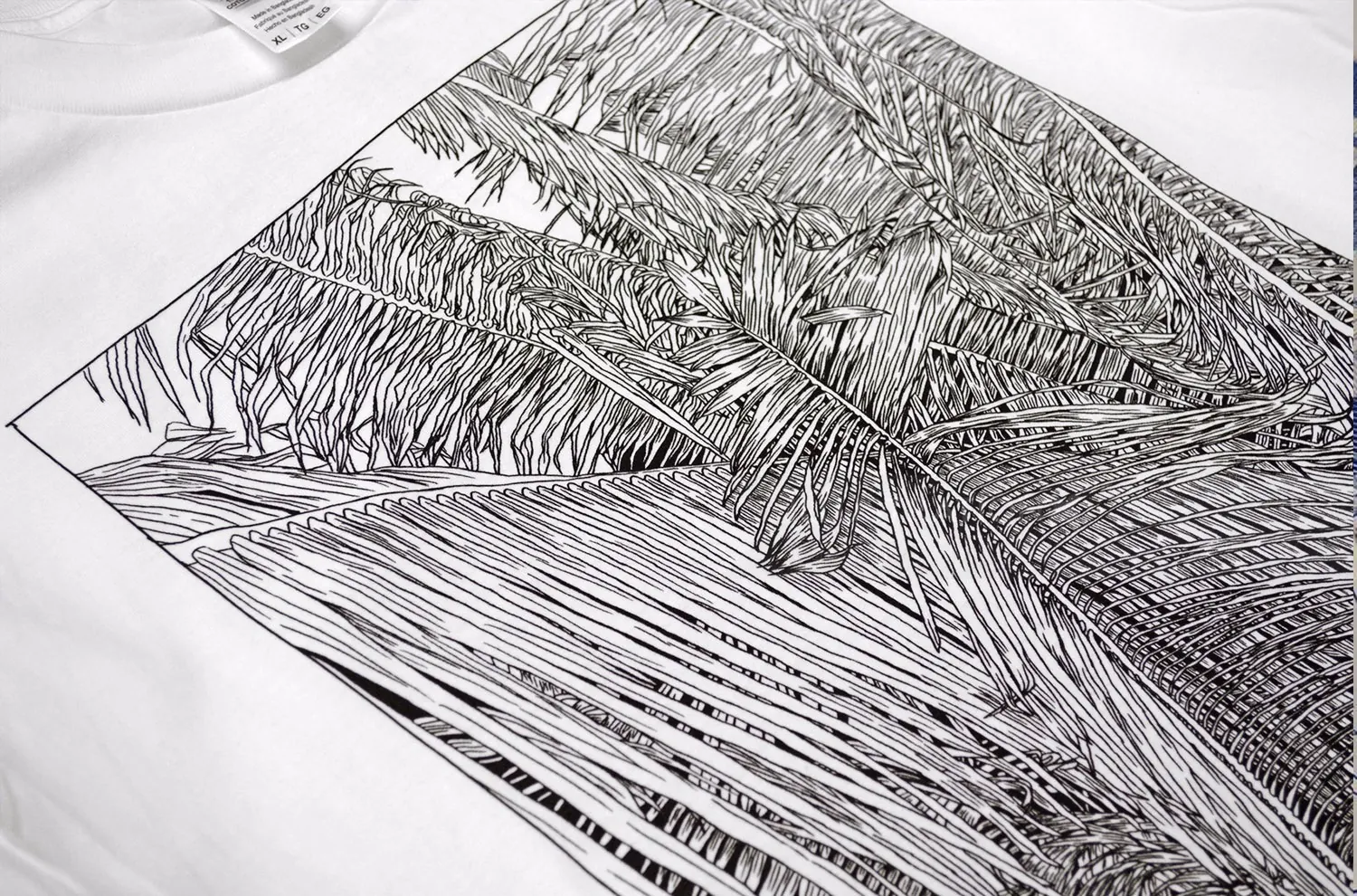 Black & White line art of Palm tree leaves