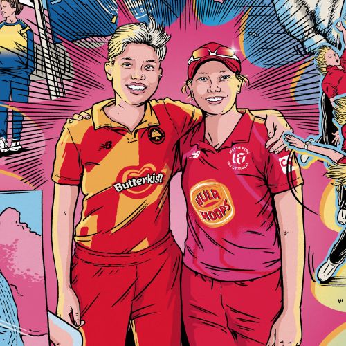 Birmingham Phoenix Women cricket team artwork