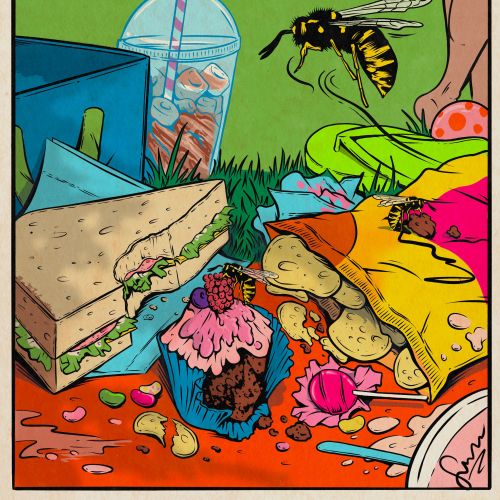 Wasp flying near picnic food including sandwich and cupcake outdoors