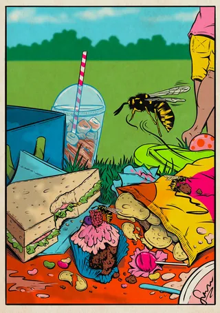 Wasp flying near picnic food including sandwich and cupcake outdoors