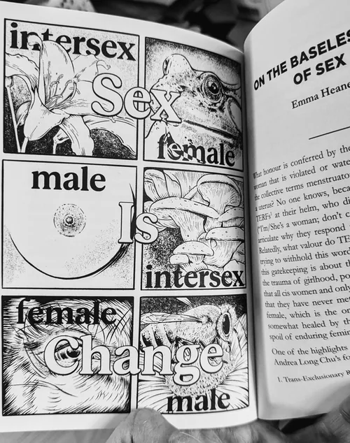 Illustration about intersex, sex, male, female, and sex change by Cat Sims