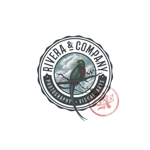 Design de logotipo para uma Rivera e empresa
