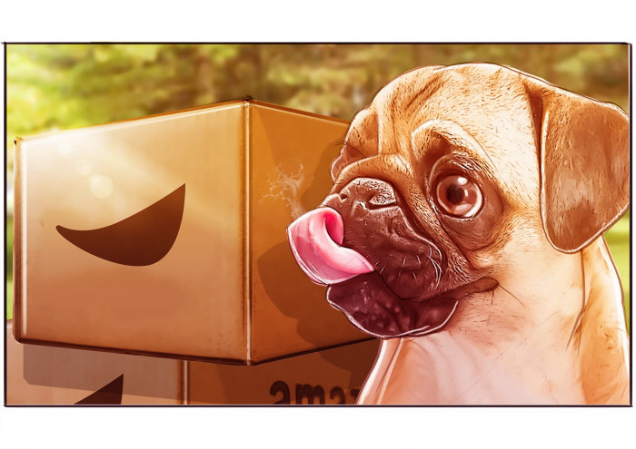 A pug dog's representation