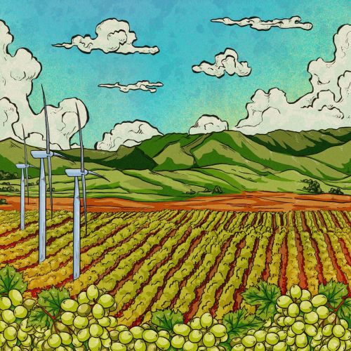 Realistic painting of a vineyard