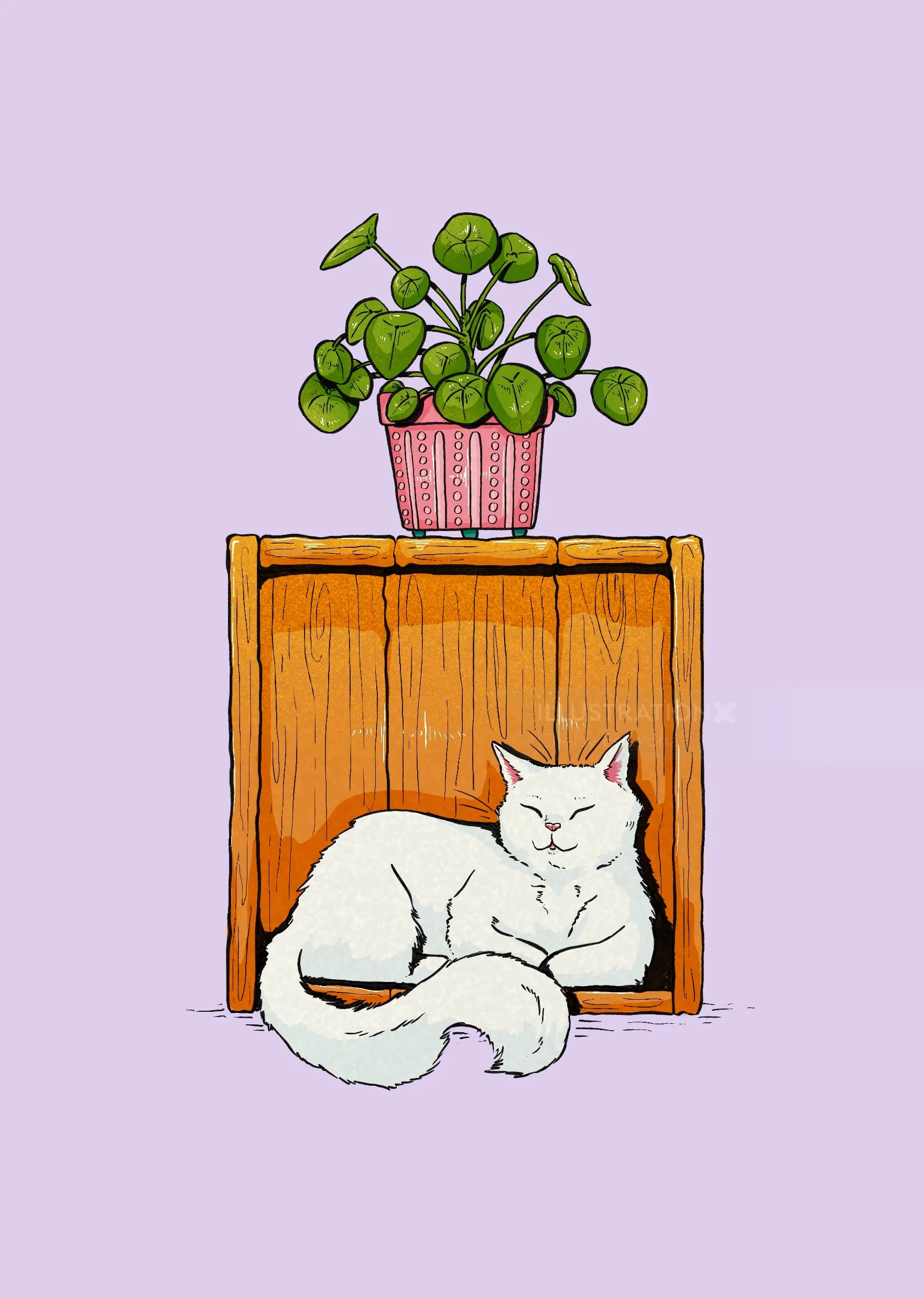 White cat sleeping under wooden shelf with potted plant by Chelsy Escalona