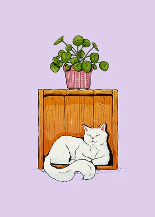 White cat sleeping under wooden shelf with potted plant by Chelsy Escalona