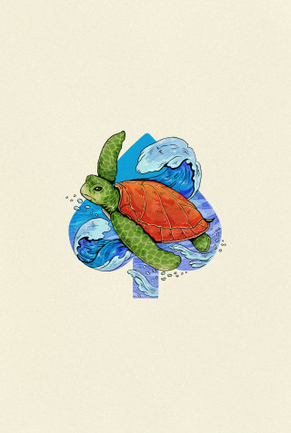 Illustration of turtle ace card deck