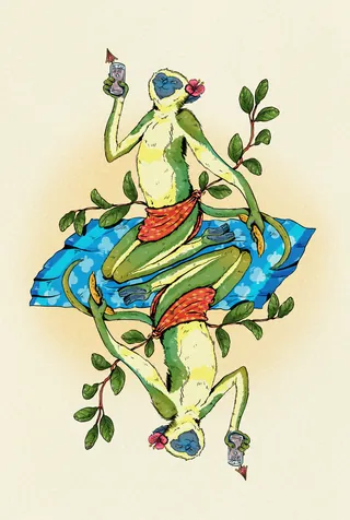 Illustration of a green monkey holding a bottle on a blue cloth