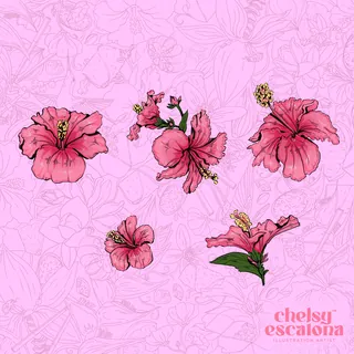 Pink hibiscus flowers on a light pink botanical background