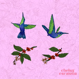 Two colorful hummingbirds flying near red berries on branches
