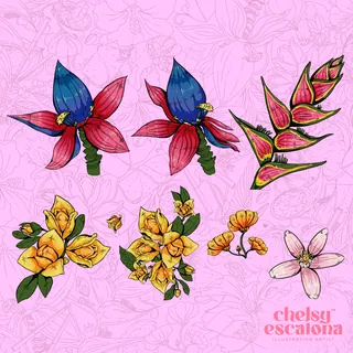 Colorful botanical illustrations of flowers on a pink background