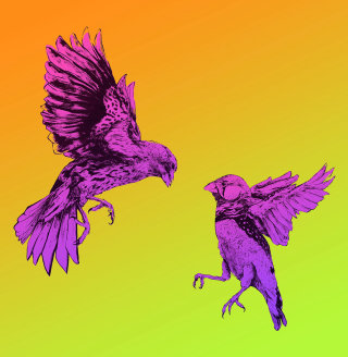 Conception graphique d&#39;oiseaux volants par Chris Ede