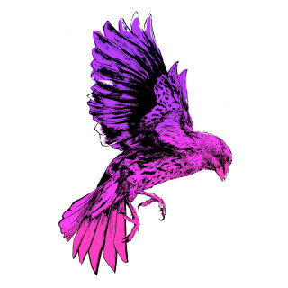 ilustración de pájaro rosa volando