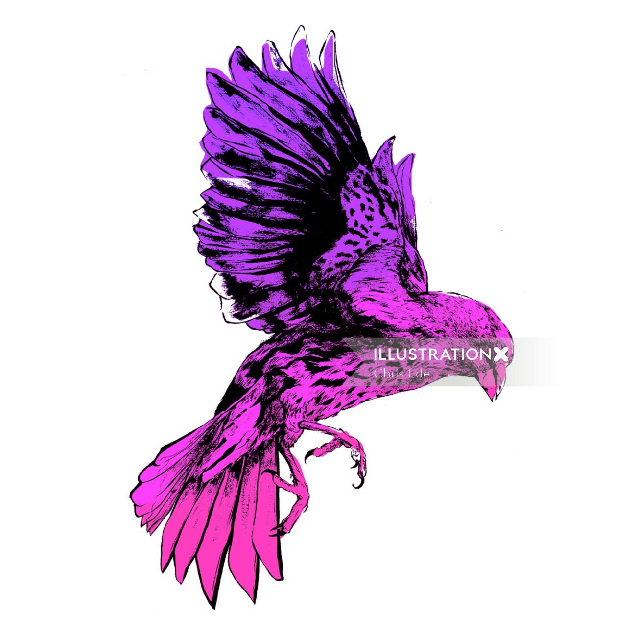 flying pink bird illustration