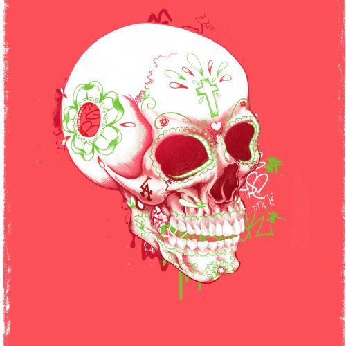 Skull illustration by Chris Ede