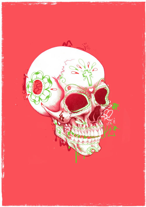 Ilustración del cráneo por Chris Ede