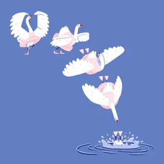 Illustration of a swan diving into water in stages by Chris Gilleard