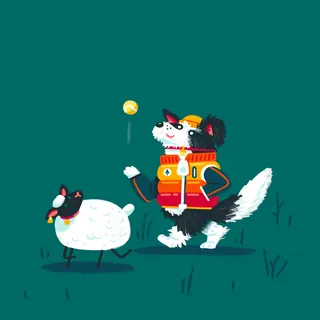 Border Collie herding a sheep wearing a red vest