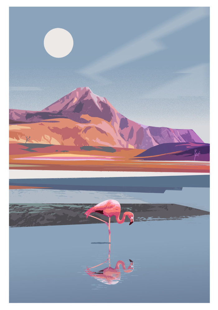 flamingo in Atacama Desert artwork